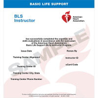 cprblsinstructorecard